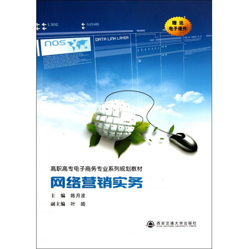 網(wǎng)絡(luò)營(yíng)銷實(shí)務(wù) 電子商務(wù)專業(yè)高職高專系列規(guī)劃教材解析